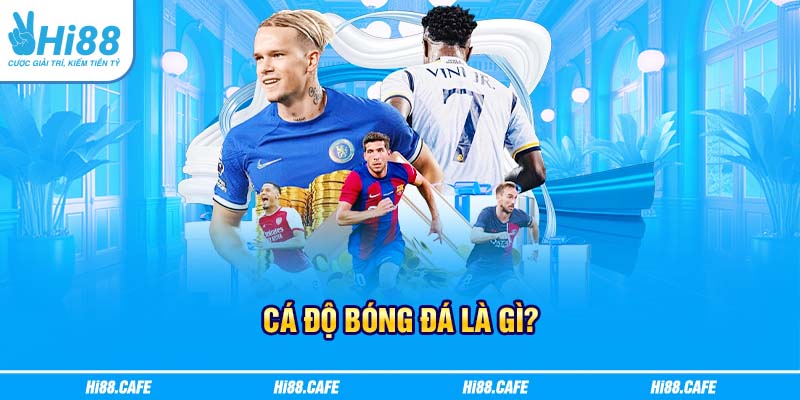 Cá độ bóng đá là gì?