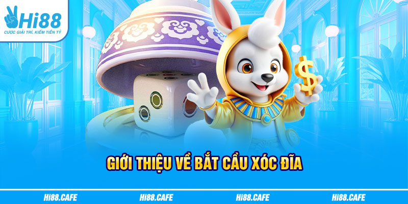 Giới thiệu về bắt cầu xóc đĩa