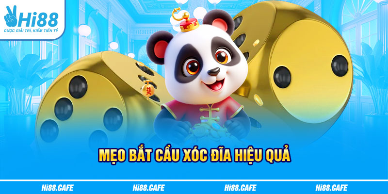 Mẹo bắt cầu xóc đĩa hiệu quả 